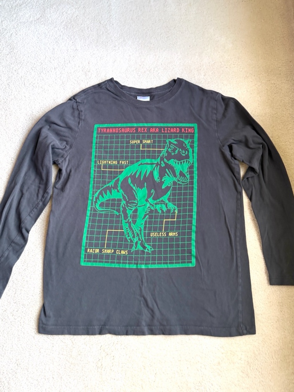 Hanna Andersson Dinosaur T-Rex Dark Gray Long Sleeve Shirt Boys Size 12